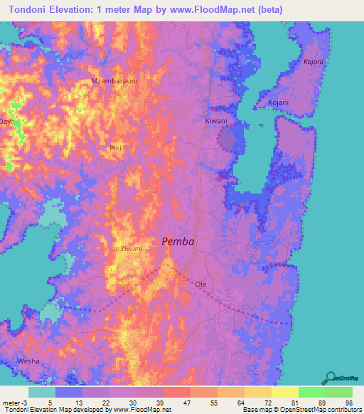 Tondoni,Tanzania Elevation Map