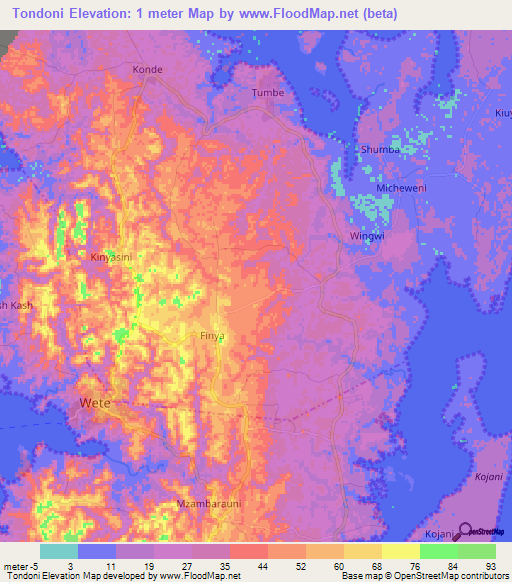 Tondoni,Tanzania Elevation Map