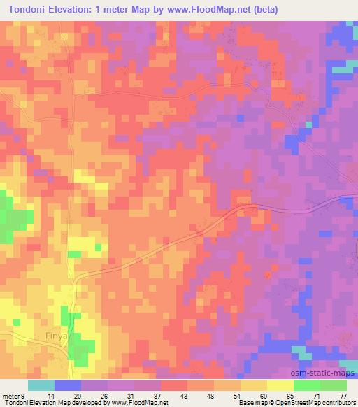 Tondoni,Tanzania Elevation Map