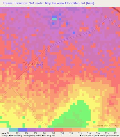 Toieya,Tanzania Elevation Map