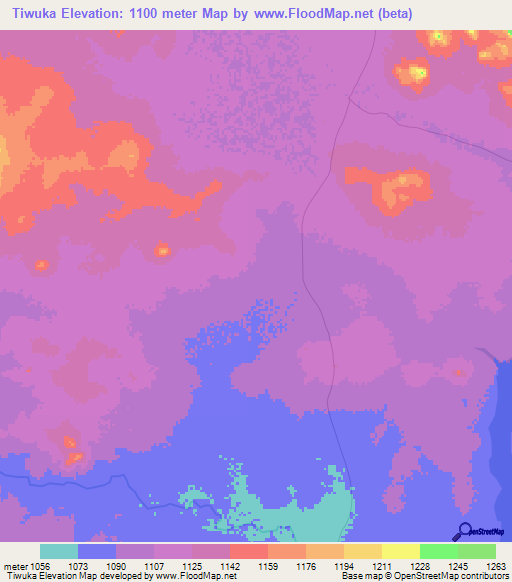 Tiwuka,Tanzania Elevation Map