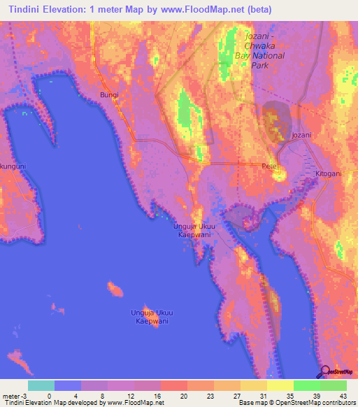 Tindini,Tanzania Elevation Map