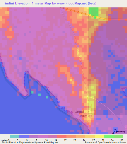 Tindini,Tanzania Elevation Map