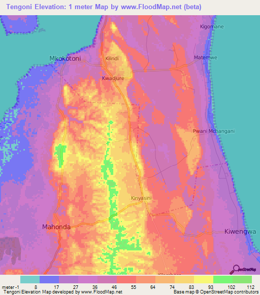 Tengoni,Tanzania Elevation Map