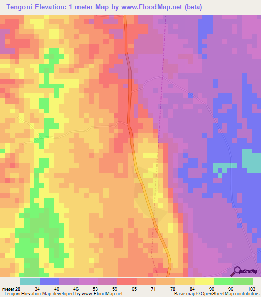 Tengoni,Tanzania Elevation Map