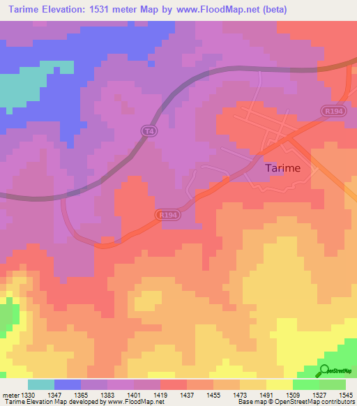 Tarime,Tanzania Elevation Map