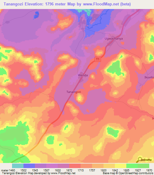 Tanangozi,Tanzania Elevation Map