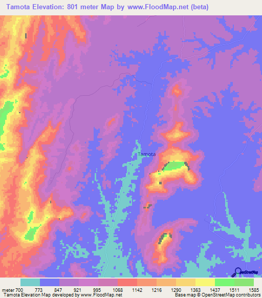 Tamota,Tanzania Elevation Map