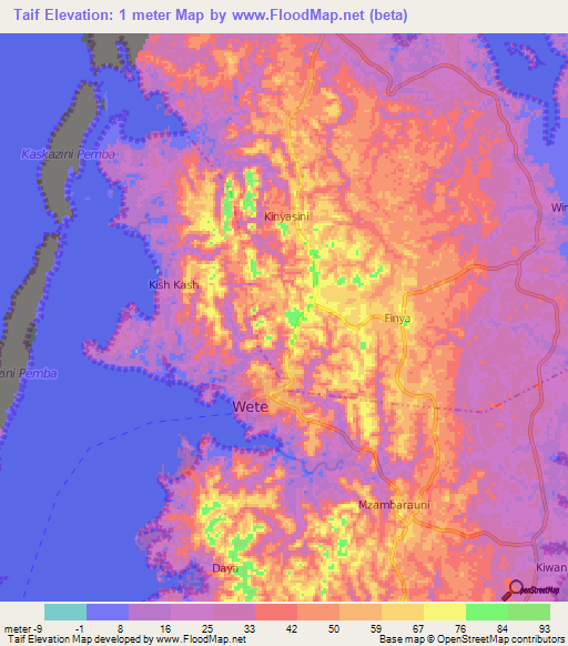 Taif,Tanzania Elevation Map