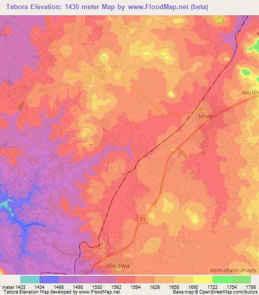 Tabora,Tanzania Elevation Map