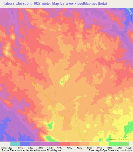 Tabora,Tanzania Elevation Map