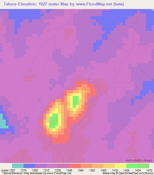 Tabora,Tanzania Elevation Map