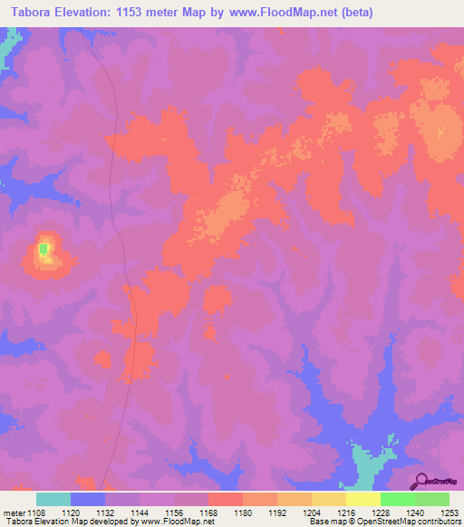 Tabora,Tanzania Elevation Map