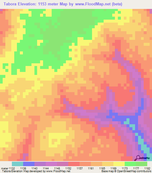 Tabora,Tanzania Elevation Map