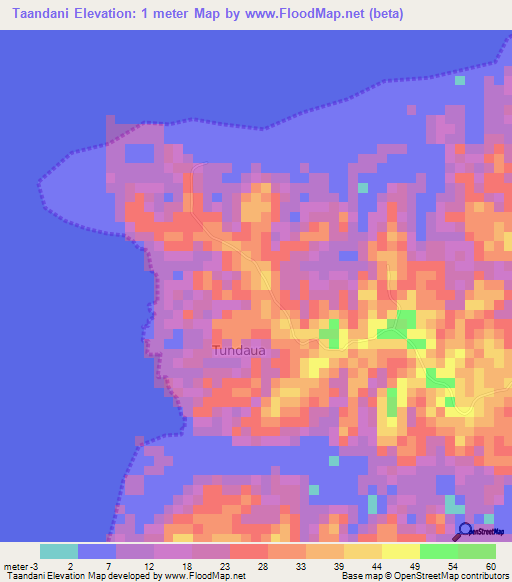 Taandani,Tanzania Elevation Map