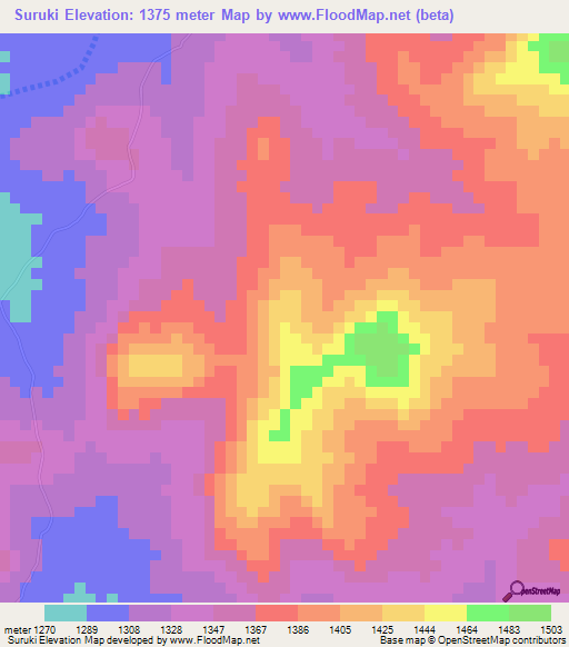 Suruki,Tanzania Elevation Map