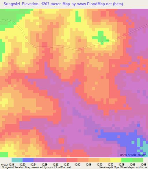 Sungwizi,Tanzania Elevation Map