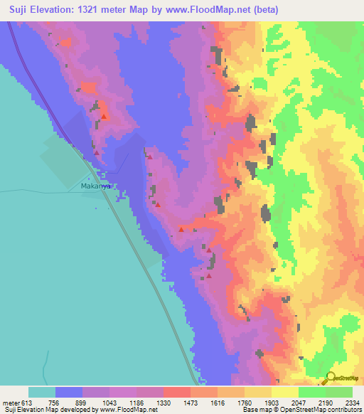 Suji,Tanzania Elevation Map