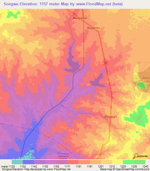 Songwa,Tanzania Elevation Map