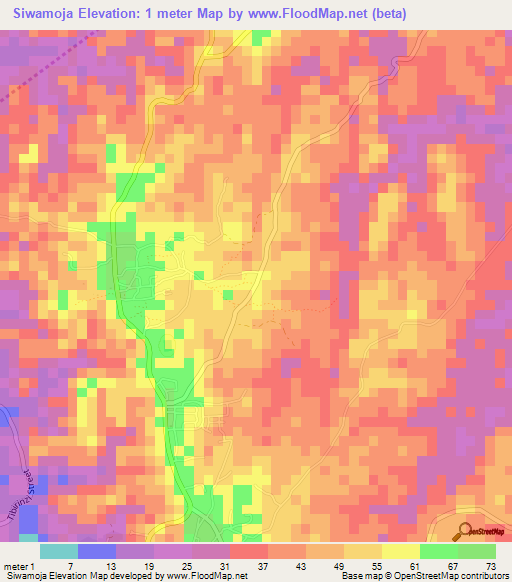 Siwamoja,Tanzania Elevation Map