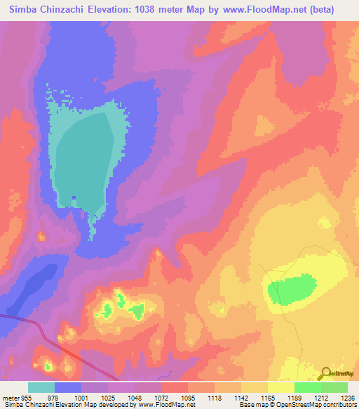 Simba Chinzachi,Tanzania Elevation Map