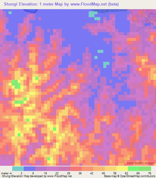 Shungi,Tanzania Elevation Map