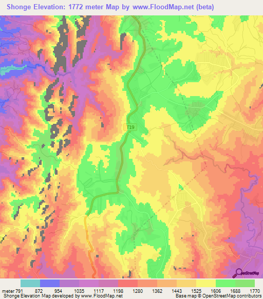 Shonge,Tanzania Elevation Map