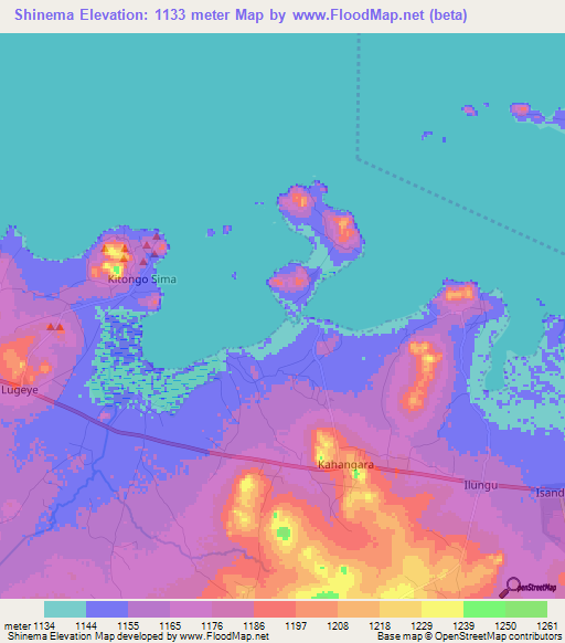 Shinema,Tanzania Elevation Map