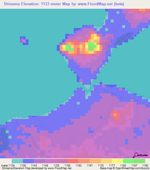 Shinema,Tanzania Elevation Map