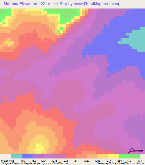 Shiguna,Tanzania Elevation Map