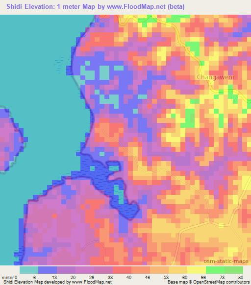 Shidi,Tanzania Elevation Map