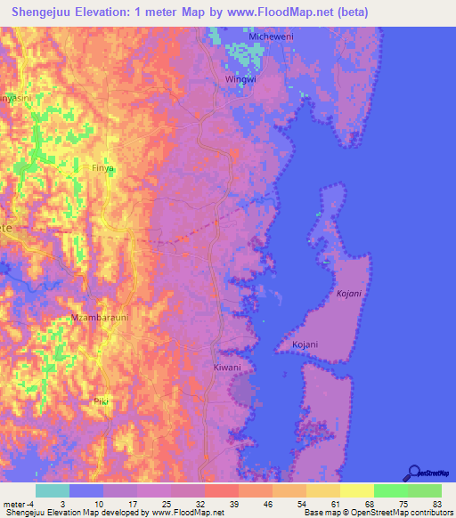 Shengejuu,Tanzania Elevation Map