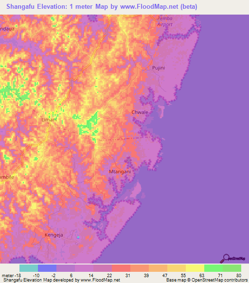 Shangafu,Tanzania Elevation Map