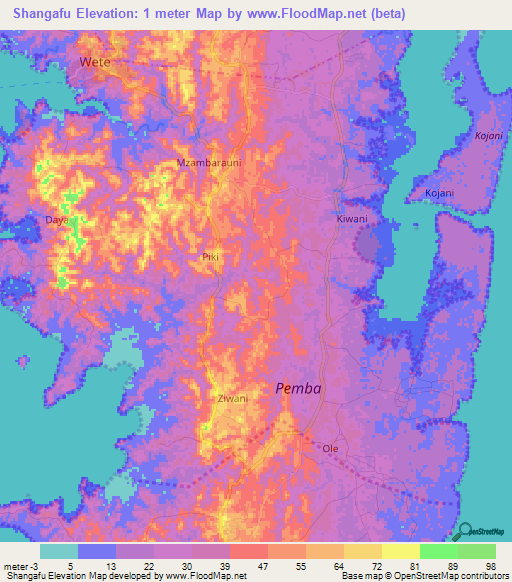 Shangafu,Tanzania Elevation Map