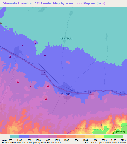 Shamoto,Tanzania Elevation Map