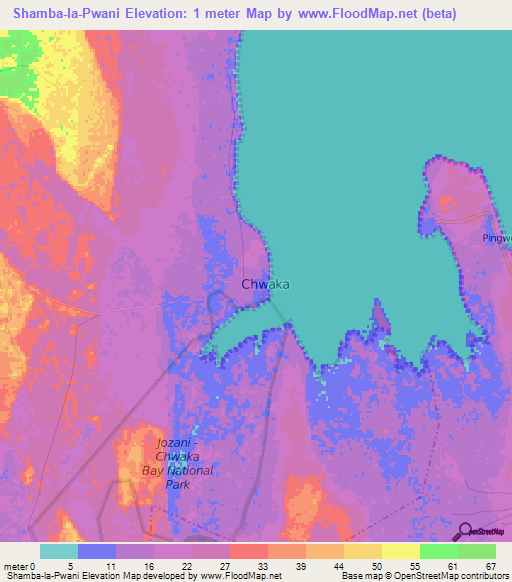 Shamba-la-Pwani,Tanzania Elevation Map