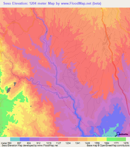 Seso,Tanzania Elevation Map