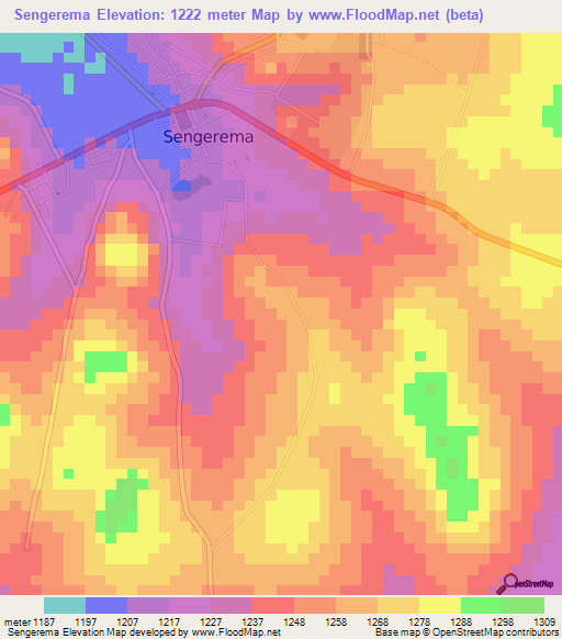 Sengerema,Tanzania Elevation Map