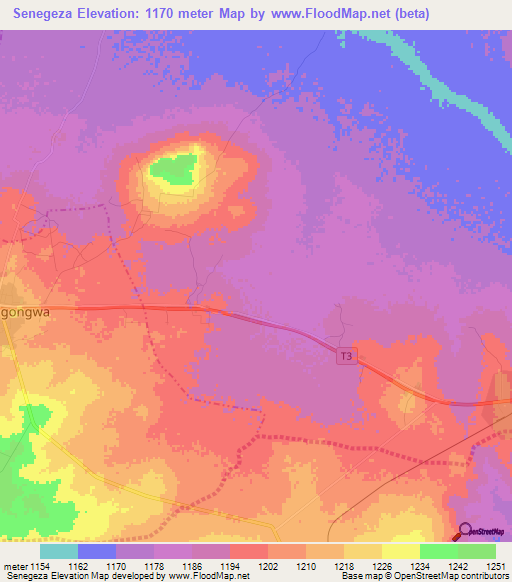 Senegeza,Tanzania Elevation Map