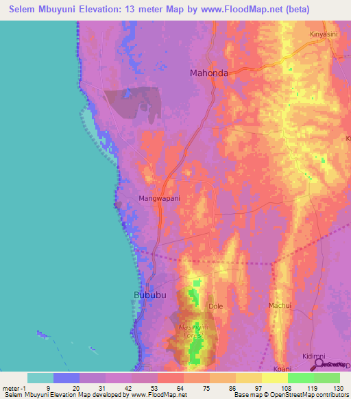 Selem Mbuyuni,Tanzania Elevation Map