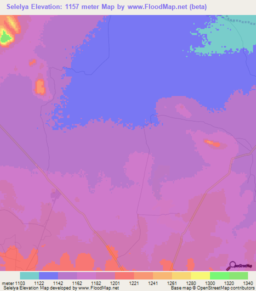 Selelya,Tanzania Elevation Map