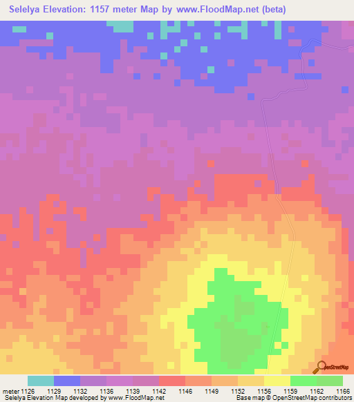 Selelya,Tanzania Elevation Map