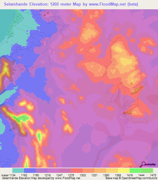 Selamhande,Tanzania Elevation Map