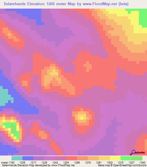 Selamhande,Tanzania Elevation Map