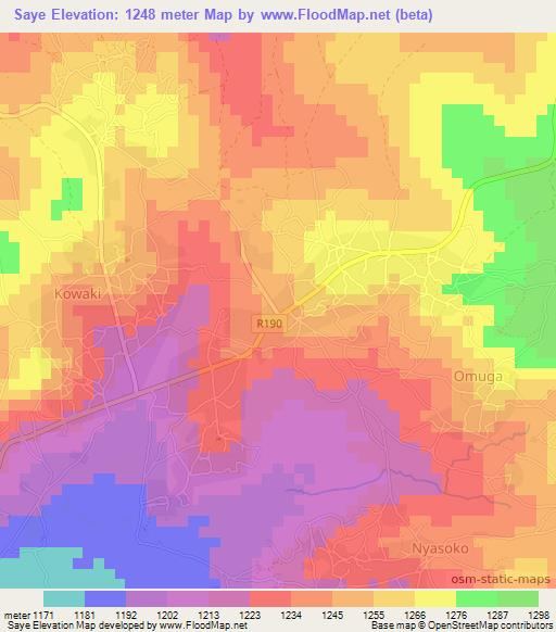 Saye,Tanzania Elevation Map