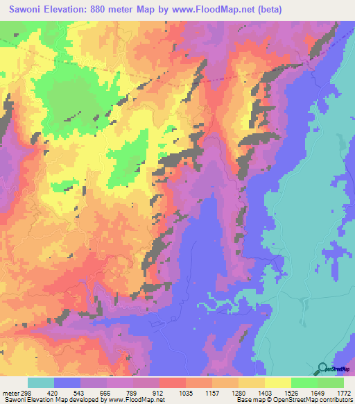 Sawoni,Tanzania Elevation Map