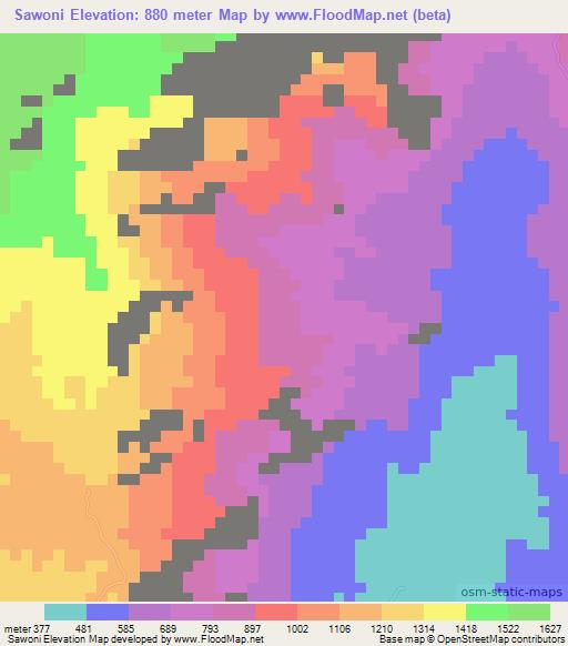 Sawoni,Tanzania Elevation Map