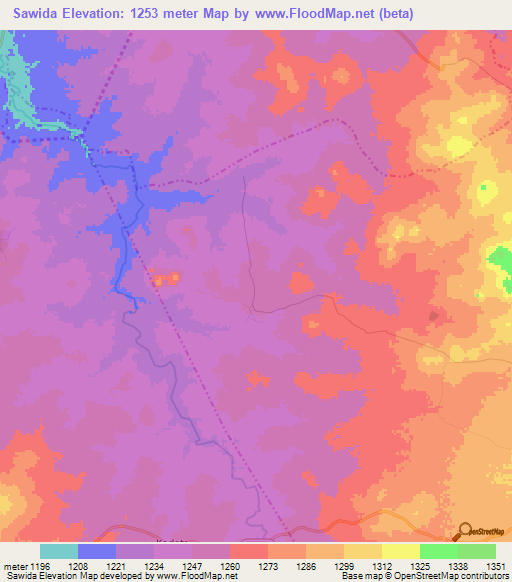 Sawida,Tanzania Elevation Map