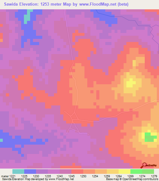 Sawida,Tanzania Elevation Map