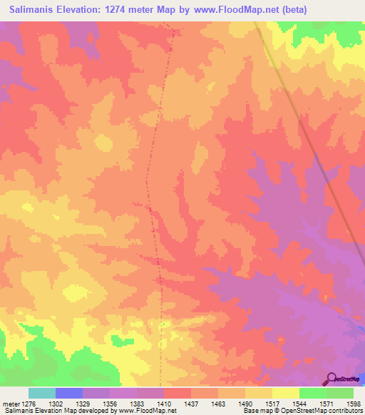 Salimanis,Tanzania Elevation Map